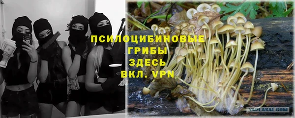 твердый Абдулино