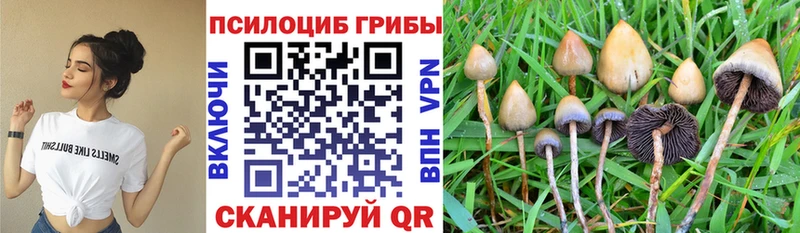 Галлюциногенные грибы MAGIC MUSHROOMS MEGA tor Белая Калитва где найти