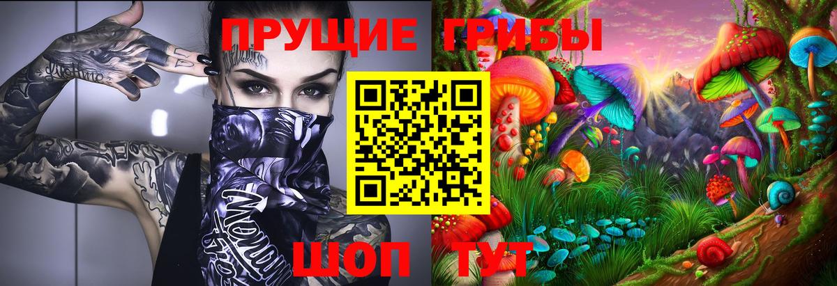 Галлюциногенные грибы MAGIC MUSHROOMS  Вход с VPN  Белая Калитва 