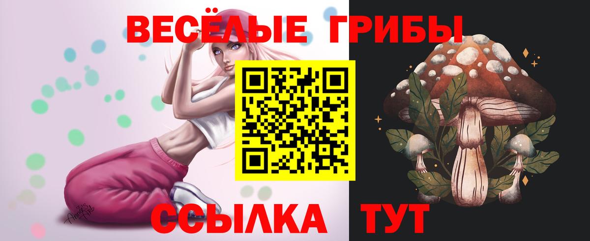 Псилоцибиновые грибы MAGIC MUSHROOMS Белая Калитва